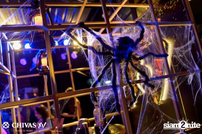 Getsunova x V Violette - Halloween XV Night Party at Wine Bridge — photo 106