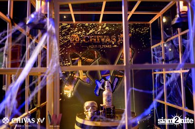 Getsunova x V Violette - Halloween XV Night Party at Wine Bridge — photo 108