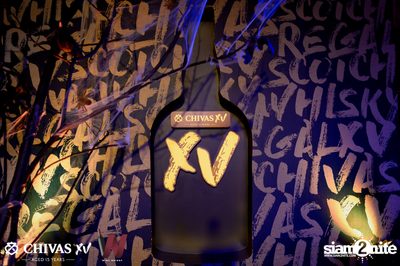 Getsunova x V Violette - Halloween XV Night Party at Wine Bridge — photo 111