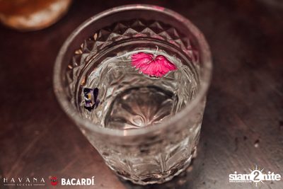 Tropic City Takeover | Part 1: Havana Birthday Bash — photo 75