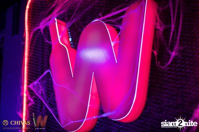 MEAN x Wine Bridge: We are so MEAN concert | Phloenchit — photo 15