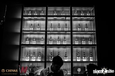 MEAN x Wine Bridge: We are so MEAN concert | Phloenchit — photo 22