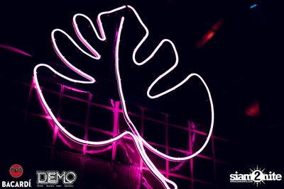 CLAP & Bacardi present Aloha Party | DEMO — photo 11