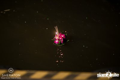 Loy Krathong Festival ที่ รอยัล ออคิด เชอราตัน — photo 136