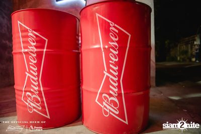 Tell A Story x Budweiser Bud Party Live w/ Lipta — photo 2