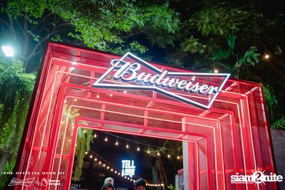 Tell A Story x Budweiser Bud Party Live w/ Lipta — photo 3