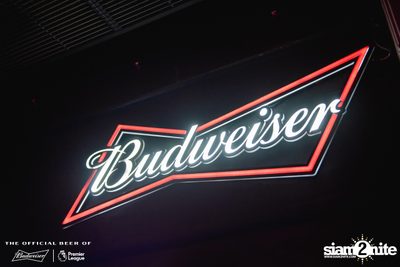 Tell A Story x Budweiser Bud Party Live w/ Lipta — photo 8