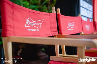 Tell A Story x Budweiser Bud Party Live w/ Lipta — photo 18