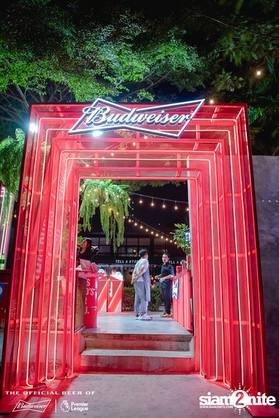 Tell A Story x Budweiser Bud Party Live w/ Lipta — photo 24