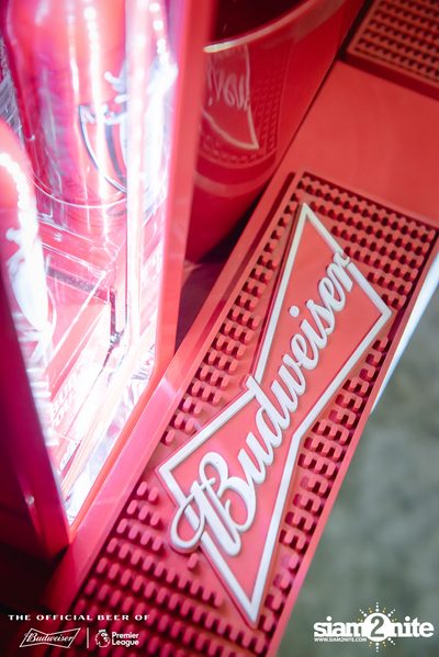 Tell A Story x Budweiser Bud Party Live w/ Lipta — photo 64