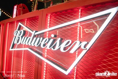 Tell A Story x Budweiser Bud Party Live w/ Lipta — photo 66