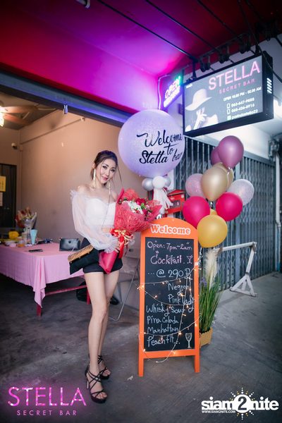 Grand Opening Stella Secret Bar — photo 67