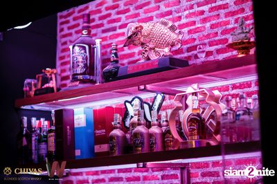 Meyou at Wine Bridge — photo 77
