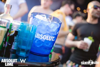 Tropical Escape Pool Party — photo 88