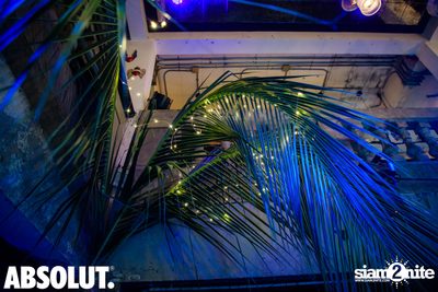 Tropic Escape After Party | Revolucion Cocktail — photo 4