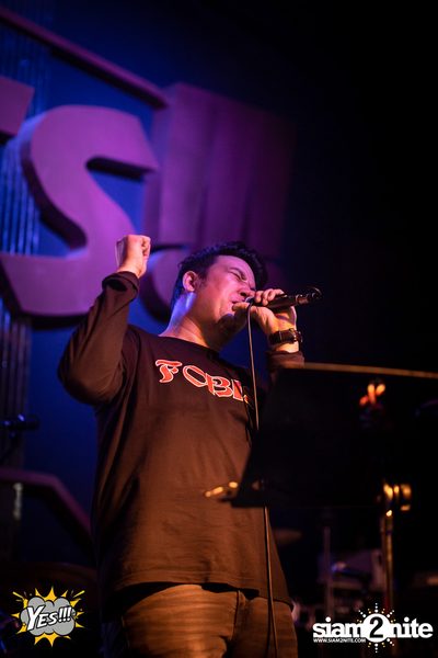 Polycat at Yes Pattaya — photo 20