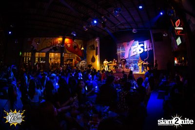Polycat at Yes Pattaya — photo 28