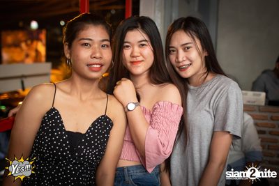 Polycat at Yes Pattaya — photo 31