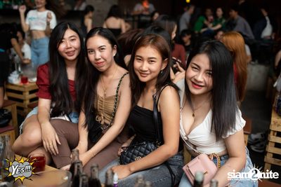Polycat at Yes Pattaya — photo 38