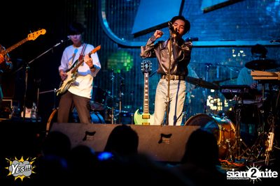 Polycat at Yes Pattaya — photo 56