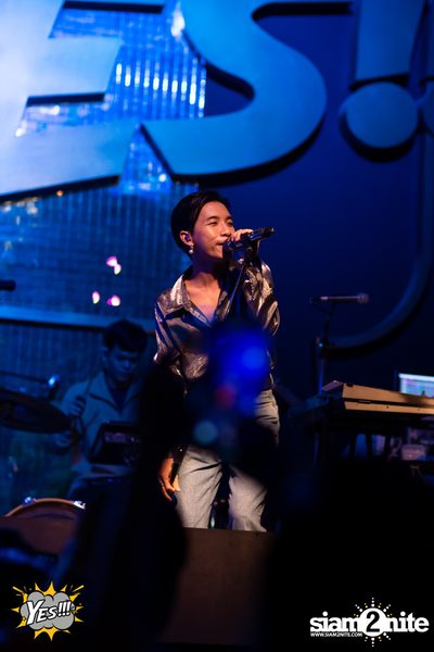 Polycat at Yes Pattaya — photo 63