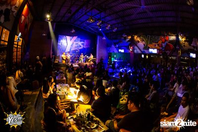 Polycat at Yes Pattaya — photo 80