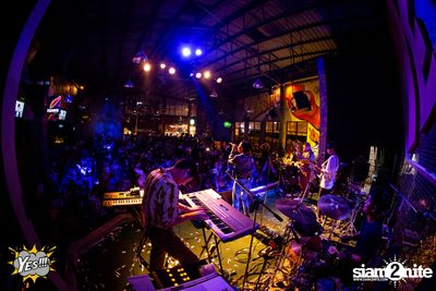 Polycat at Yes Pattaya — photo 88