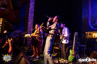 Polycat at Yes Pattaya — photo 92