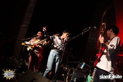 Polycat at Yes Pattaya — photo 98