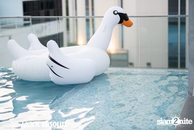amBar Pool Party ที่ Four Points by Sheraton — photo 46