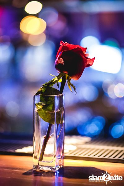 Red Monday 2019 at Flamenco Bangkok — photo 53