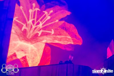 808 Festival 2019 | BITEC Bangna (Album 2, Day 1) — photo 191