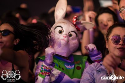 808 Festival 2019 | BITEC Bangna (Album 1, Day 3) — photo 253