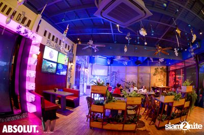 K Pop Night at Wine Bridge — photo 57