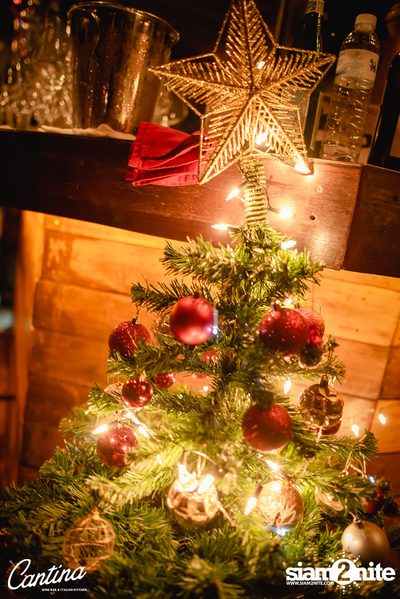 4-Course Italian Festive Set Menu ที่ แคนติน่า ไวน์บาร์ — photo 94