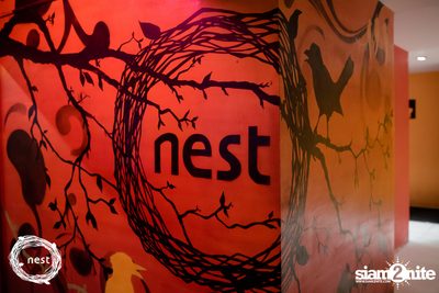 NEST & Willy Zogo presents The Last Sunday of 2019 — photo 1