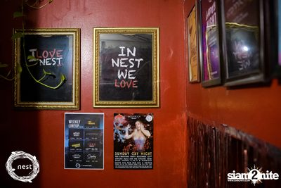NEST & Willy Zogo presents The Last Sunday of 2019 — photo 2