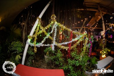 NEST & Willy Zogo presents The Last Sunday of 2019 — photo 77