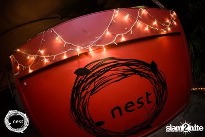 NEST & Willy Zogo presents The Last Sunday of 2019 — photo 78