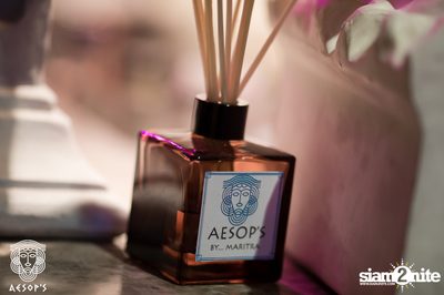 Bush Fire Fundraiser ที่ Aesop’s Bangkok — photo 138
