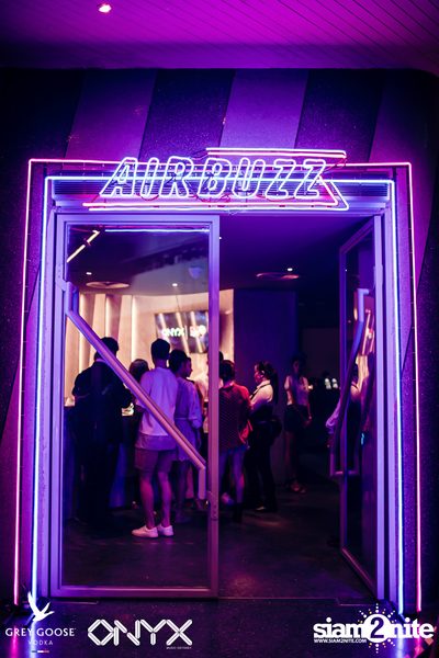 CLAP x Grey Goose pres. AIRBUZZ | ONYX — photo 9