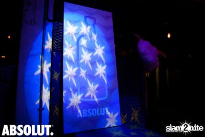 Born This Way - Pop Culture | Revolucion Cocktail — photo 5