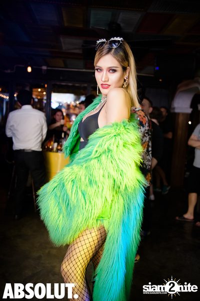 Born This Way - Pop Culture | Revolucion Cocktail — photo 62
