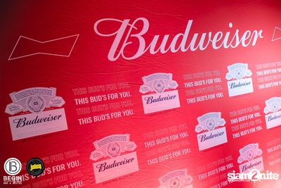 คอนเสิร์ต Budweiser Bud Night Live กับ KLEAR ที่ Begin Bar & Bistro — photo 7