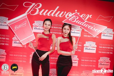 คอนเสิร์ต Budweiser Bud Night Live กับ KLEAR ที่ Begin Bar & Bistro — photo 10