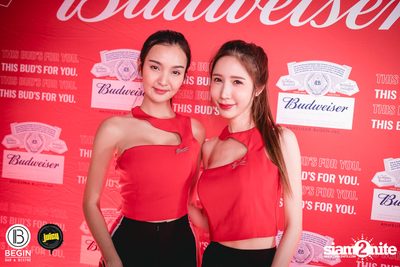 คอนเสิร์ต Budweiser Bud Night Live กับ KLEAR ที่ Begin Bar & Bistro — photo 12