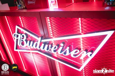 คอนเสิร์ต Budweiser Bud Night Live กับ KLEAR ที่ Begin Bar & Bistro — photo 20