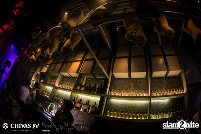 V'Day Party w/ Season Five at DND — photo 17