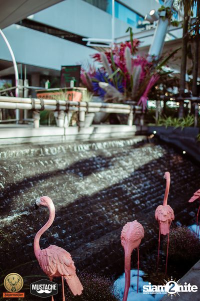 Jagermeister presents Mustache Takeover กับ Nakadia ที่ Escape Bangkok — photo 18