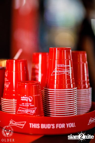 Budweiser presents Two Popetorn at Older — photo 13